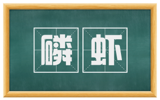 磷虾