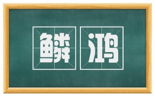 鳞鸿