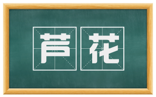 芦花