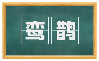 鸾鹊