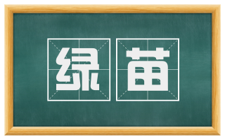 绿苗