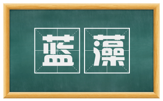 蓝藻