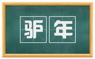 驴年