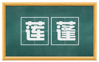 莲蓬
