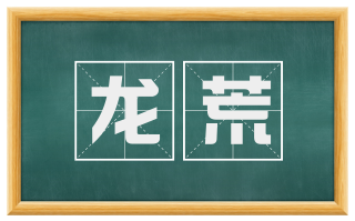 龙荒