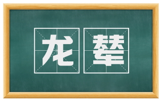 龙辇