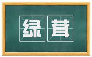 绿茸