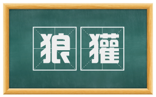 狼獾