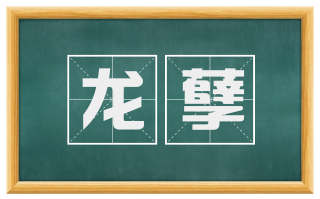 龙孽