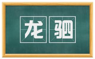 龙驷