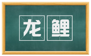 龙鲤