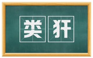 类犴