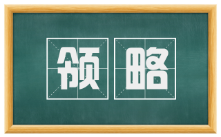 领略