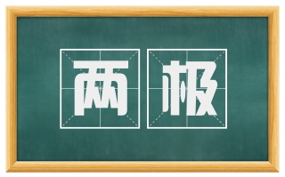 两极