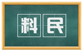 料民