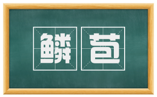鳞苞