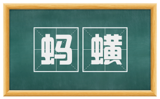 蚂蟥