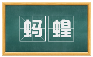蚂蝗