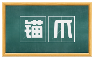 锚爪