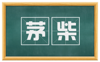 茅柴