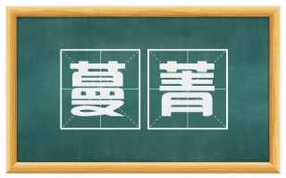 蔓菁