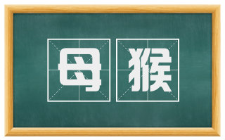 母猴
