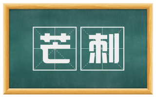 芒刺