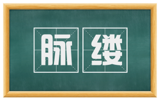 脉缕