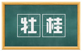 牡桂