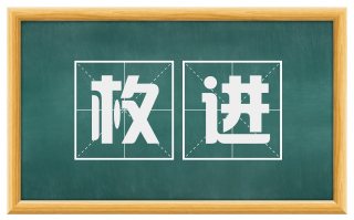 枚进