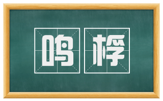 鸣桴