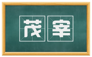 茂宰