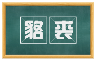 貉裘