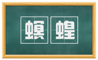 螟蝗