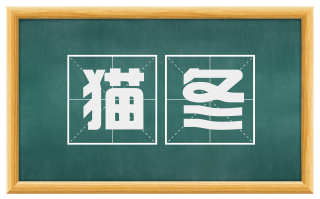猫冬