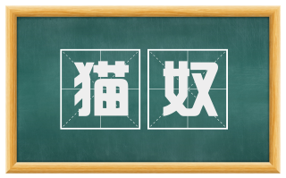 猫奴