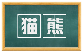 猫熊