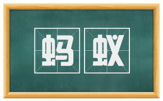 蚂蚁