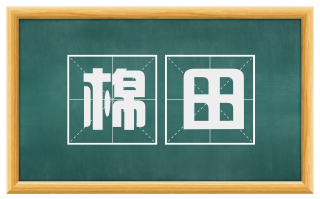 棉田
