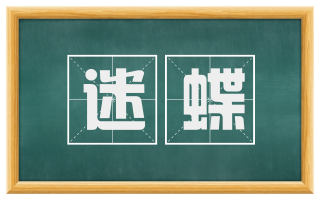 迷蝶