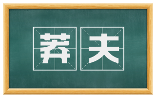 莽夫