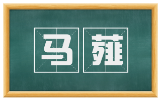 马薤