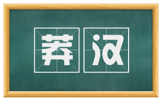 莽汉