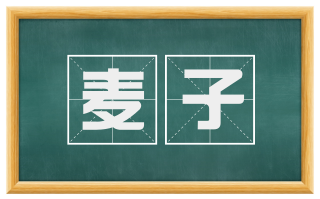 麦子
