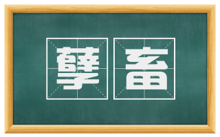 孽畜