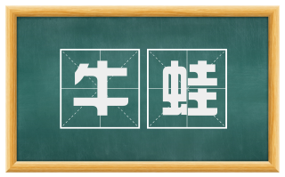 牛蛙
