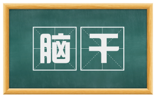 脑干