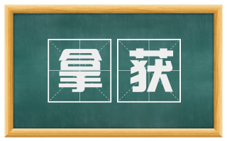 拿获