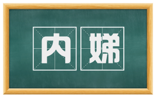 内娣