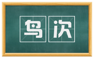 鸟次